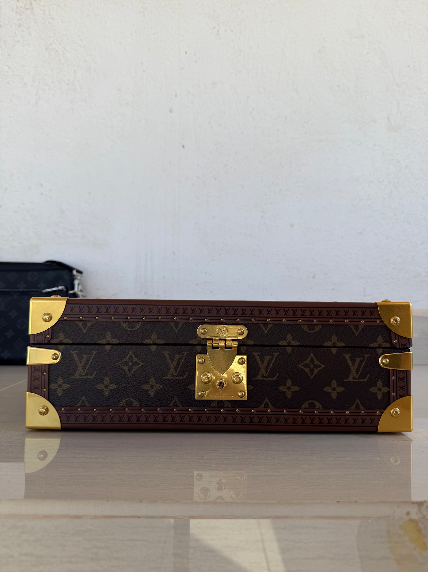 Watch Storage LV - Brown Red