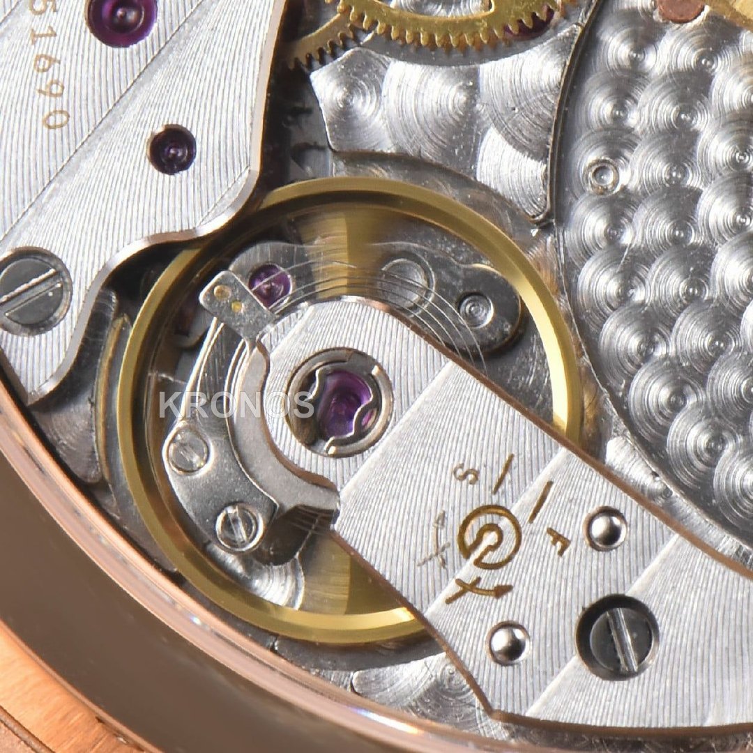 Nautilus 40mm Brown Dial Brown - Authentic Movement