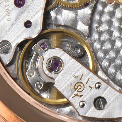 Nautilus 40mm Brown Dial Brown - Authentic Movement