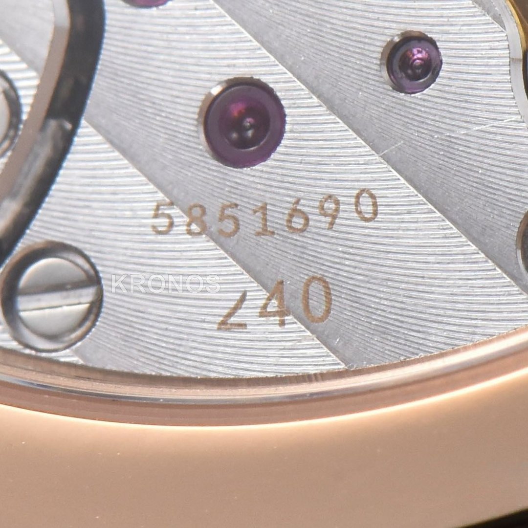 Nautilus 40mm Brown Dial Brown - Authentic Movement