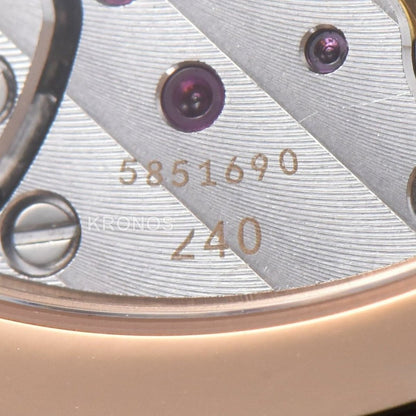 Nautilus 40mm Brown Dial Brown - Authentic Movement