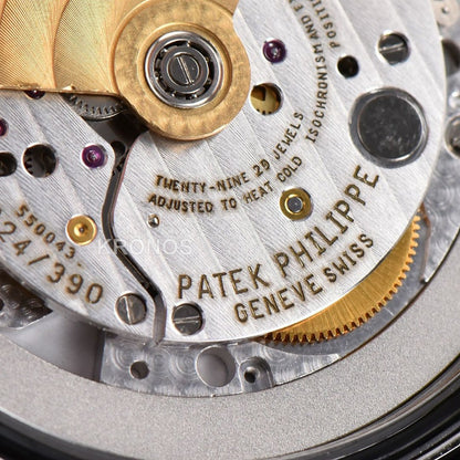 Aquanaut 40mm Brown Dial Brown - Authentic Movement