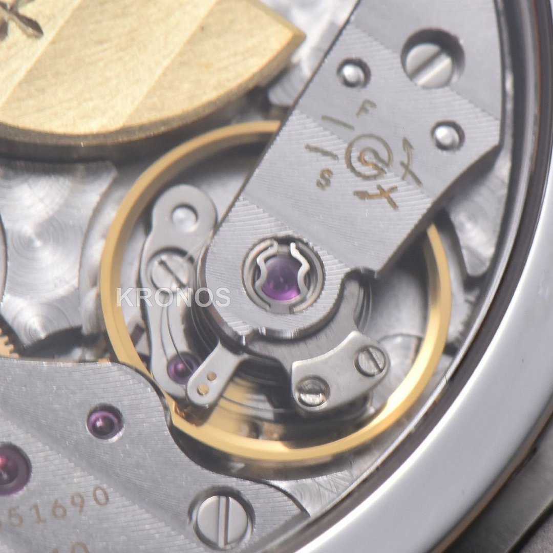 Nautilus 40mm Gray Dial Black - Authentic Movement