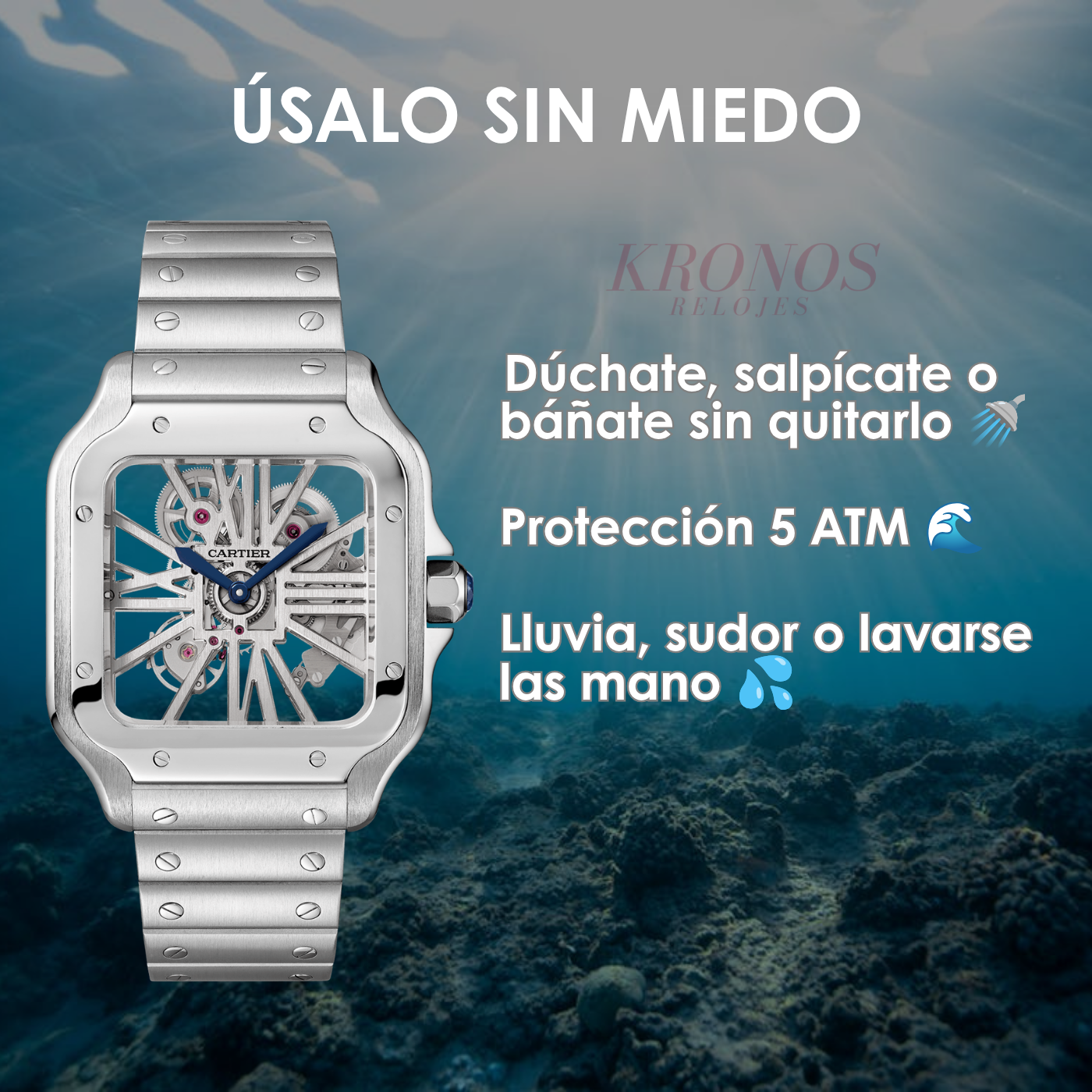 Santos Skeleton – Steel Dial